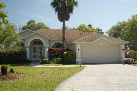 11480 EMERALD RIDGE COURT SPRING HILL FL 34609