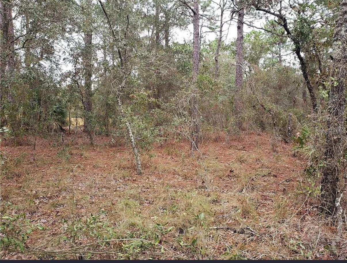 POTTERFIELD GARDEN AC - M - Land