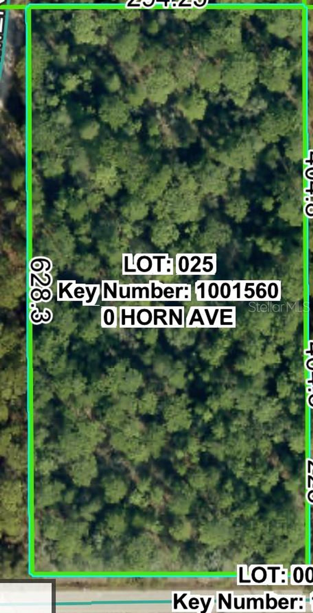 Photo of 0 Horn Avenue, Brooksville, FL 34613 (MLS # TB8452533)