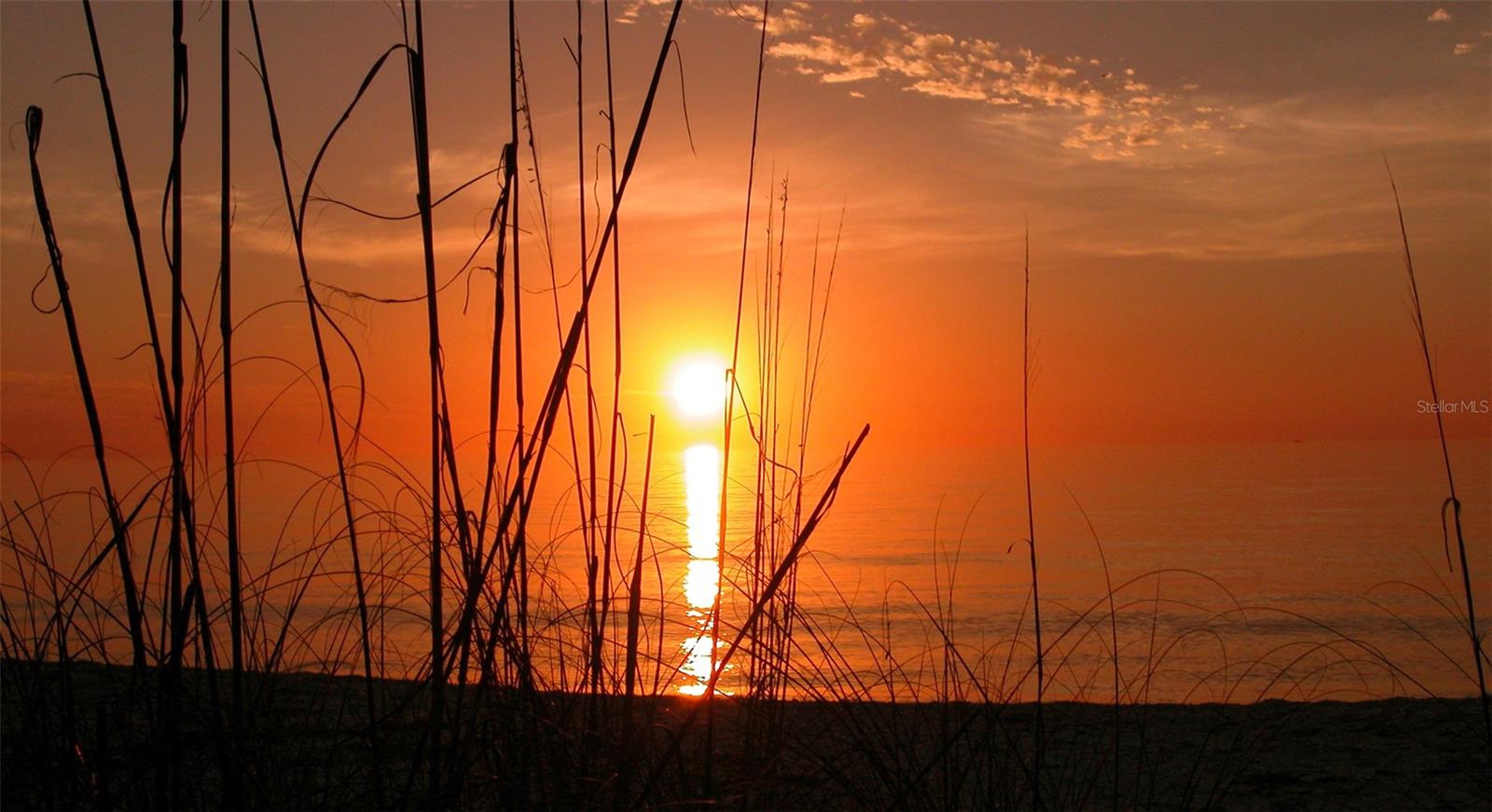 SLEEPY LAGOON - Land