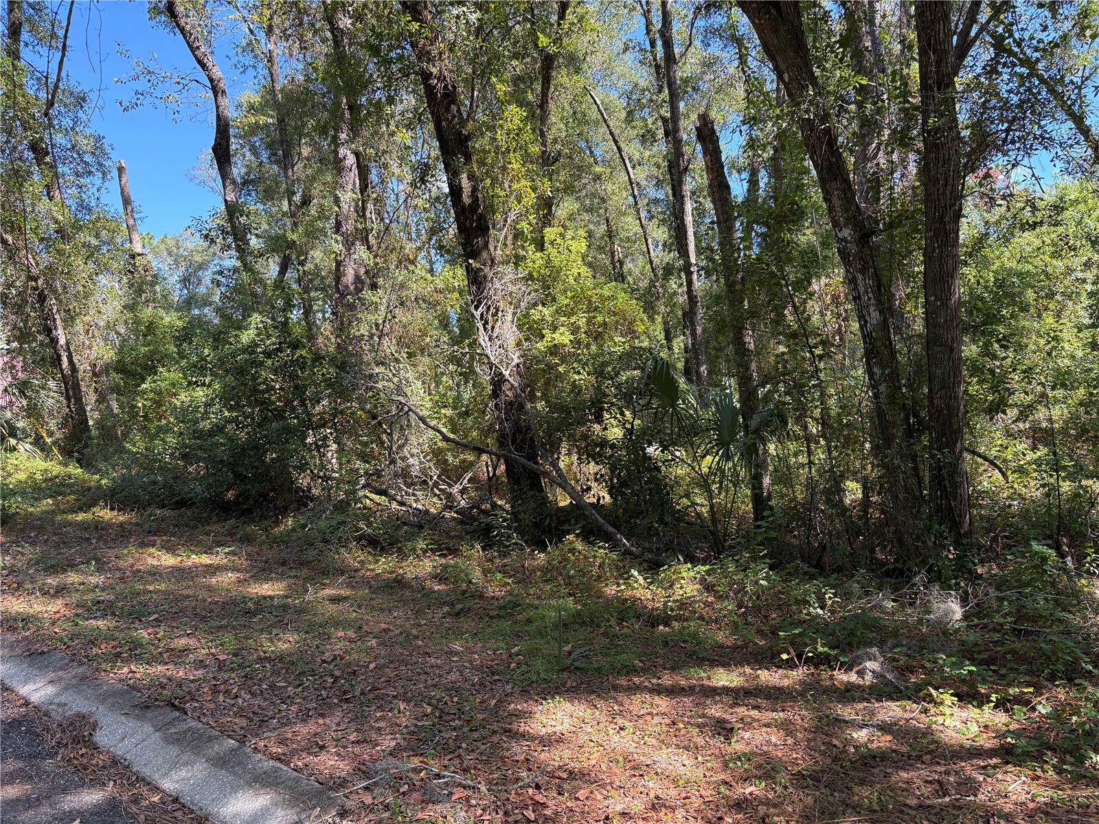 INVERNESS HIGHLANDS SOUTH - Land