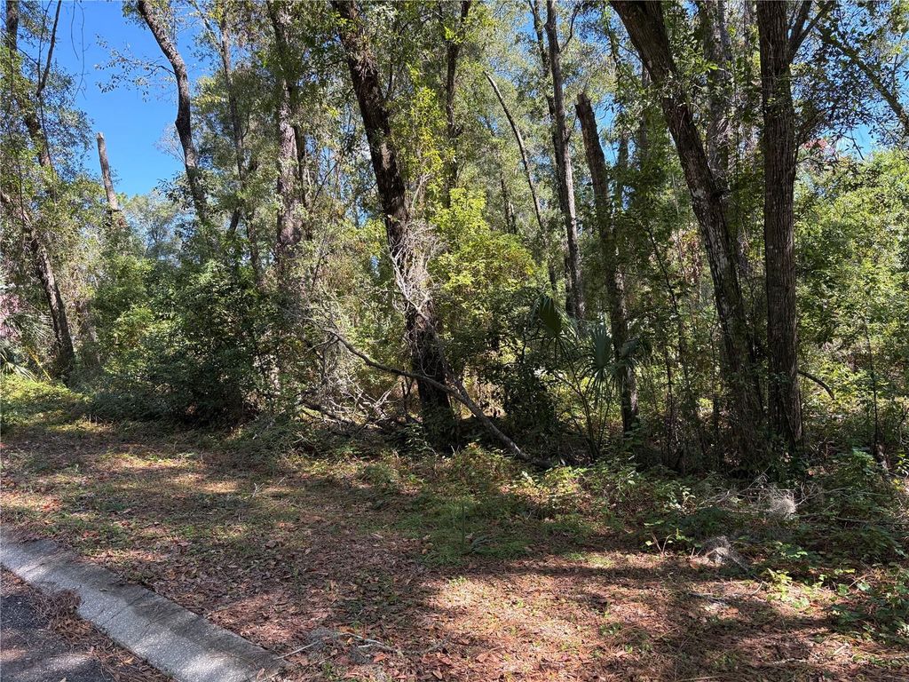 Photo of 1222 Clover Terrace, Inverness, FL 34452 (MLS # FC313424)