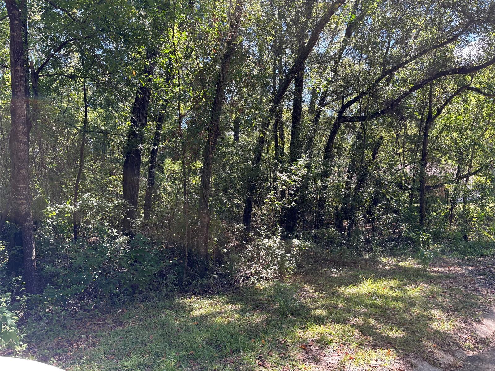 INVERNESS HIGHLANDS SOUTH - Land