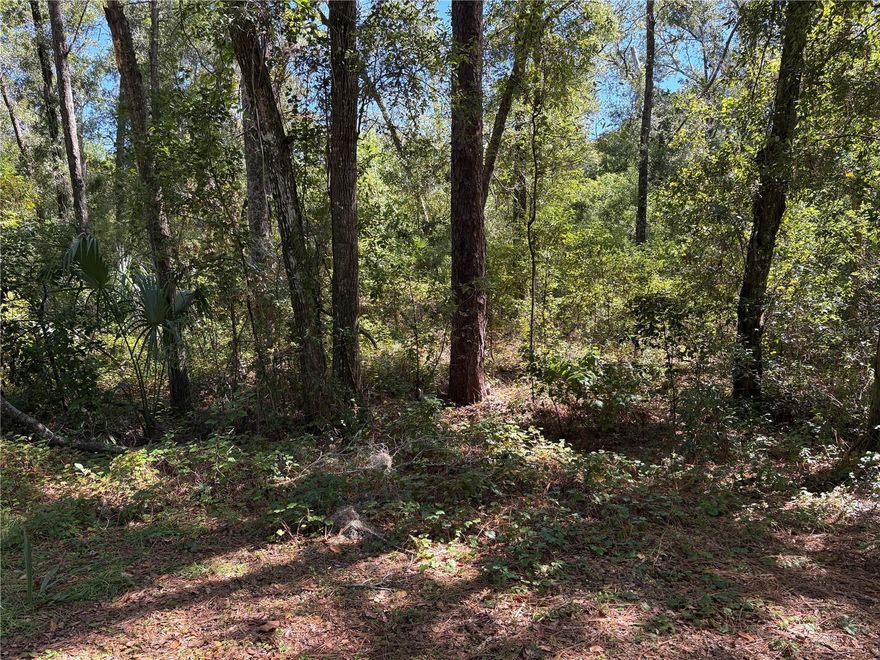 Build your dream home on this level, residential lot located in a non-flood zone—no flood insurance required! Ideal for new construction in a quiet, well-established neighborhood.