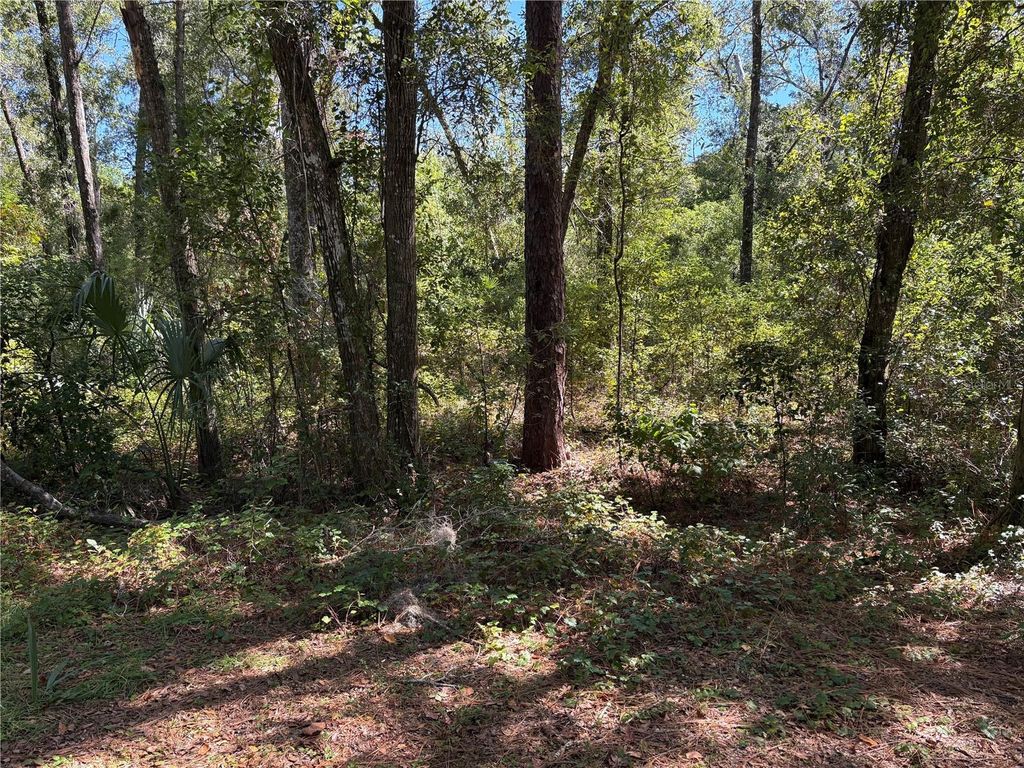 Photo of 1222 Clover Terrace, Inverness, FL 34452 (MLS # FC313424)