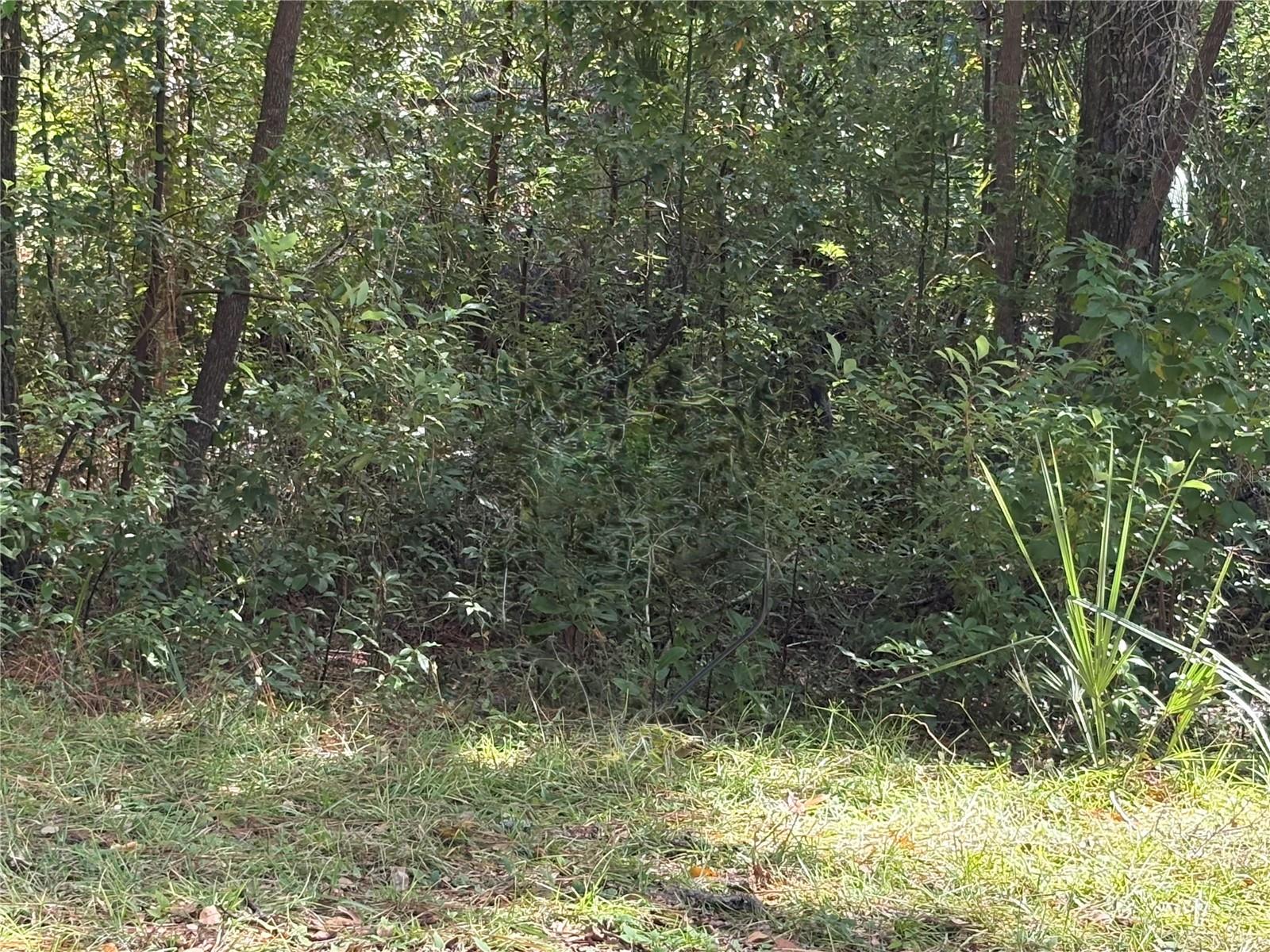 INVERNESS HIGHLANDS SOUTH - Land