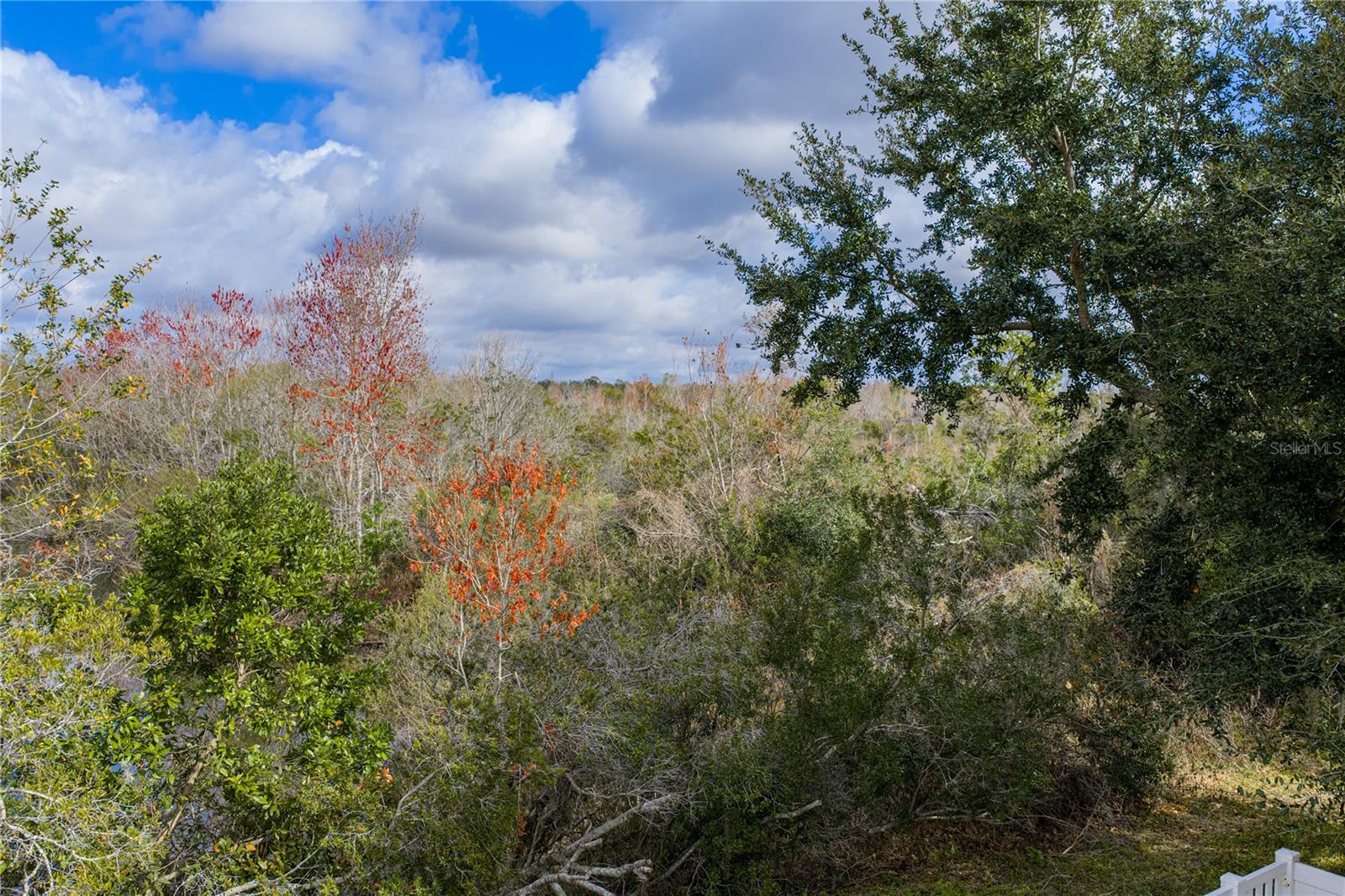 MEADOW POINTE 4 PRCL J - Residential