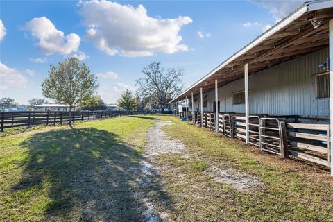 Tiny photo for 815 SE 145th Street, Summerfield, FL 34491 (MLS # G5106690)