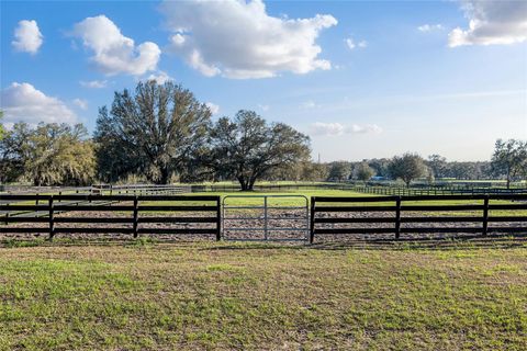 Tiny photo for 815 SE 145th Street, Summerfield, FL 34491 (MLS # G5106690)