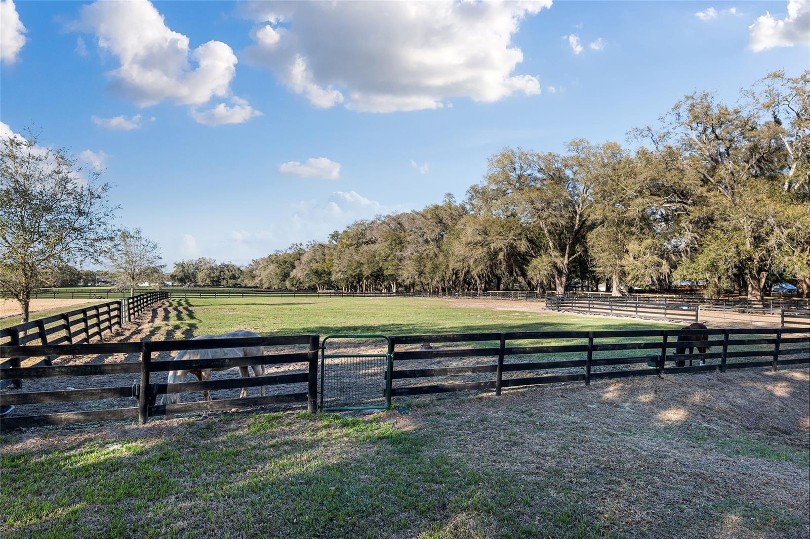 NOT IN SUBDIVISION - Residential