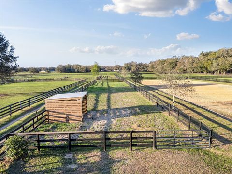 Tiny photo for 815 SE 145th Street, Summerfield, FL 34491 (MLS # G5106690)