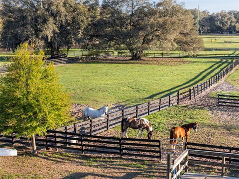 Tiny photo for 815 SE 145th Street, Summerfield, FL 34491 (MLS # G5106690)