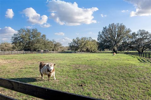 Tiny photo for 815 SE 145th Street, Summerfield, FL 34491 (MLS # G5106690)