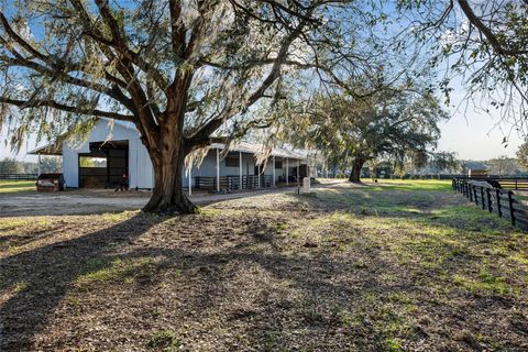 Tiny photo for 815 SE 145th Street, Summerfield, FL 34491 (MLS # G5106690)