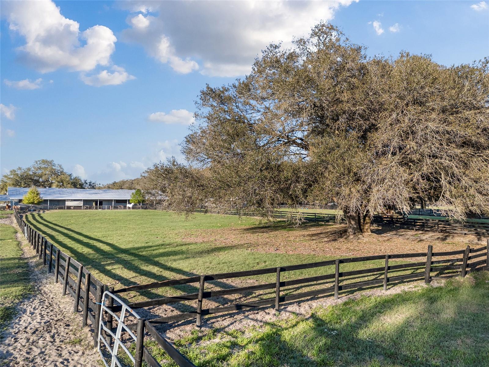 NOT IN SUBDIVISION - Residential