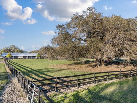 Tiny photo for 815 SE 145th Street, Summerfield, FL 34491 (MLS # G5106690)