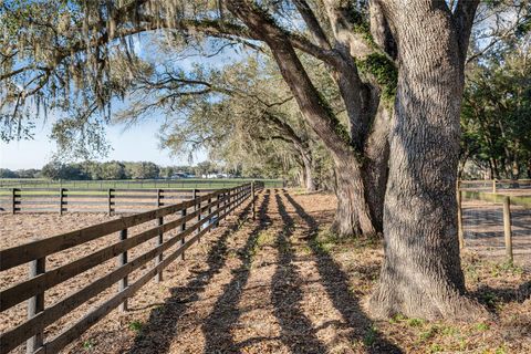 Tiny photo for 815 SE 145th Street, Summerfield, FL 34491 (MLS # G5106690)