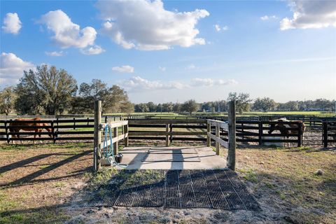 Tiny photo for 815 SE 145th Street, Summerfield, FL 34491 (MLS # G5106690)