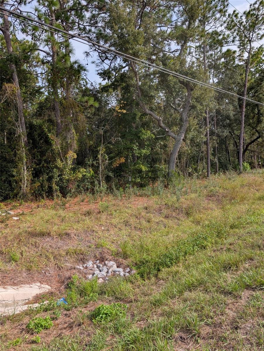 9115 S SUNCOAST BLVD