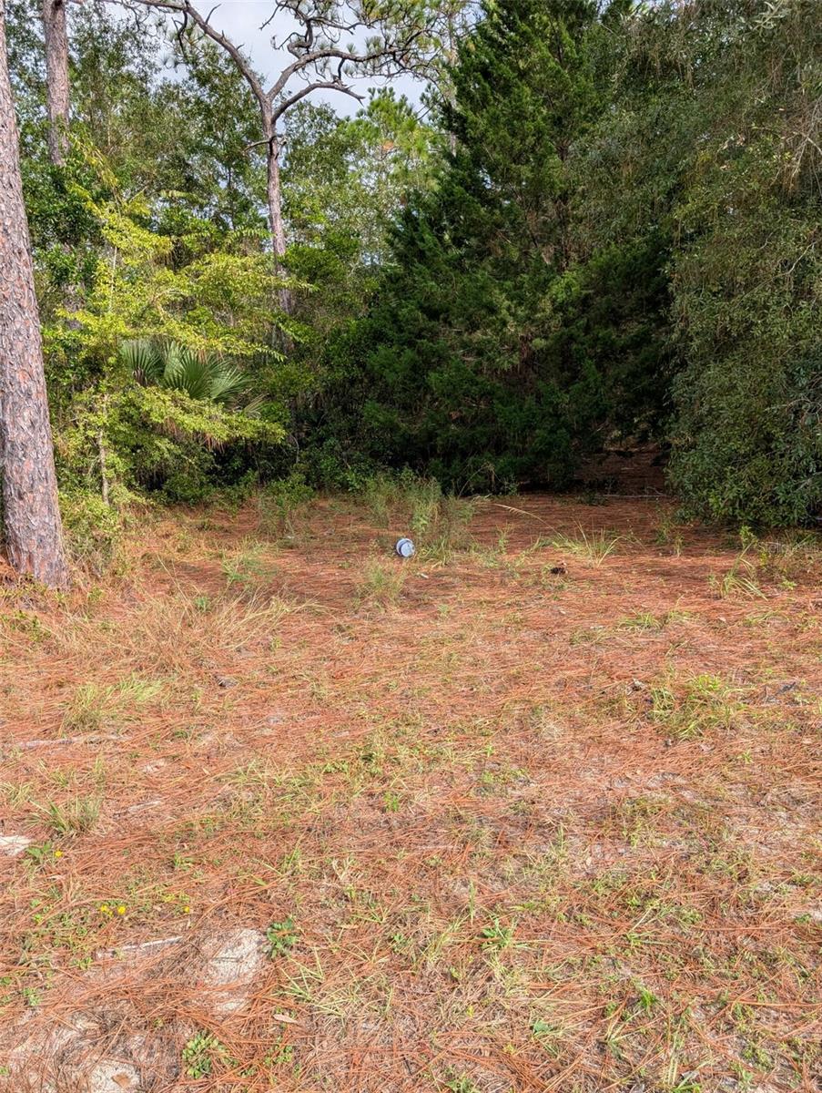 9115 S SUNCOAST BLVD