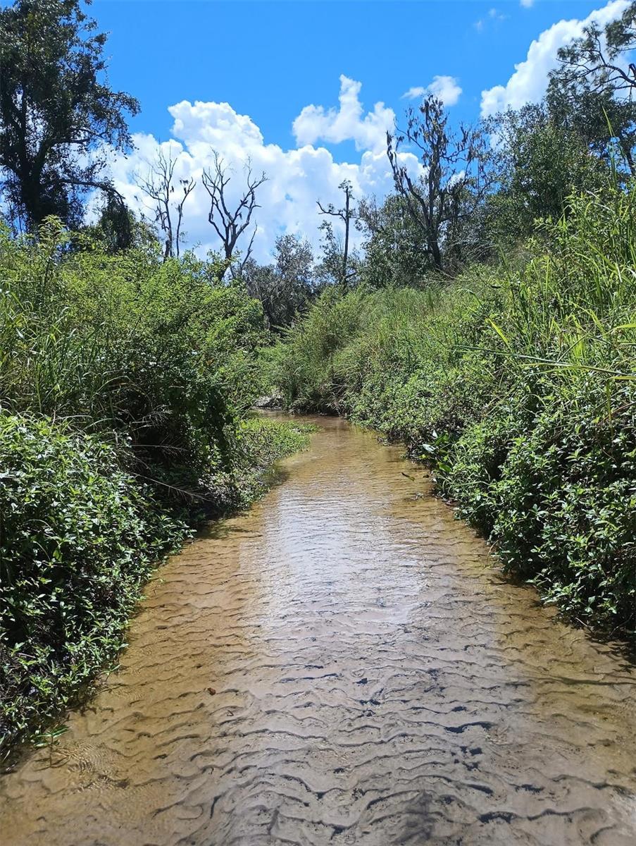 WATERBURY TRACTS CONTINUED - Residential