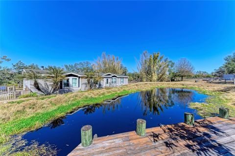 Photo of 4678 253rd Street E, Myakka City, FL 34251 (MLS # A4681741)