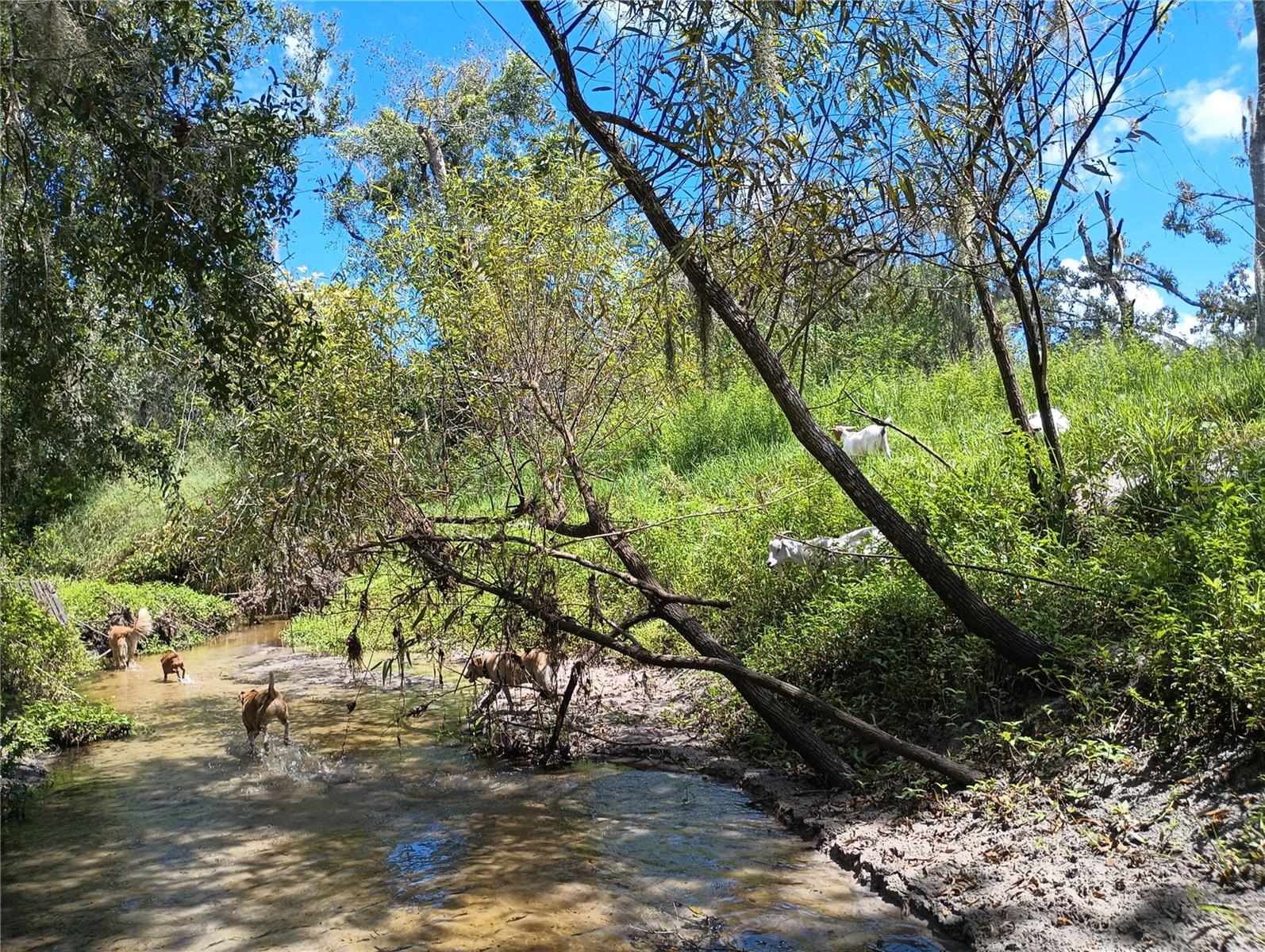 WATERBURY TRACTS CONTINUED - Residential