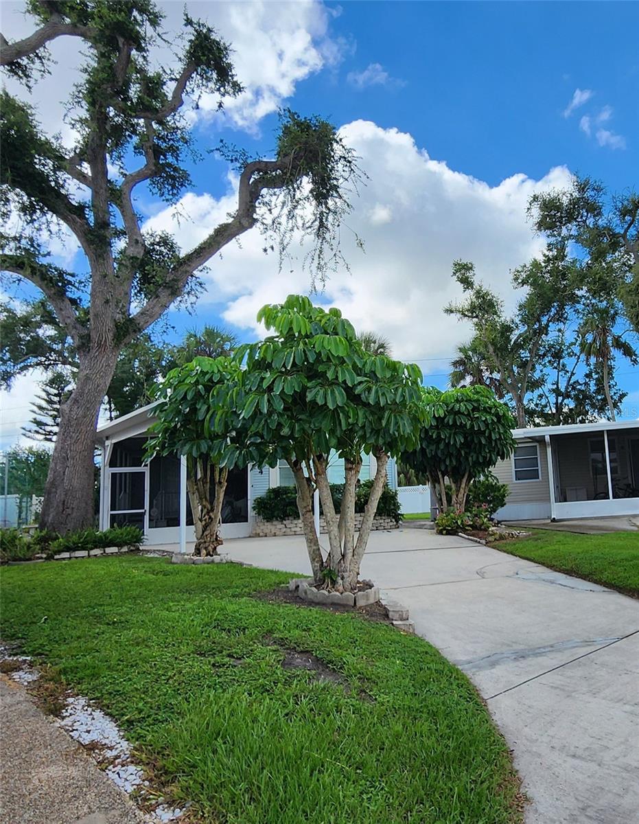 SUGAR CREEK COUNTRY CLUB CO-OP - Residential