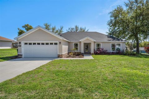 206 SHANNON LANE LADY LAKE FL 32159