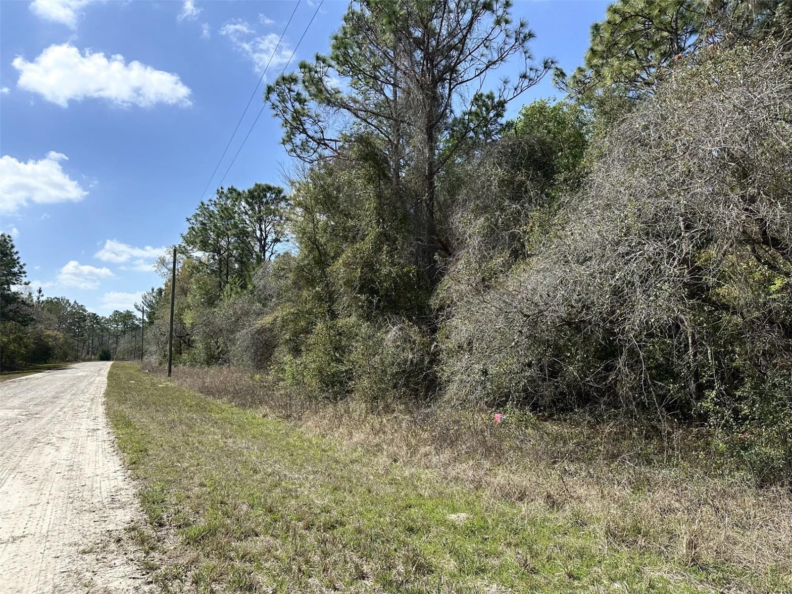 High-and-dry lot ready for your new home. Build now or later. With no HOA or deed restrictions, you have the flexibility to create your ideal space. Zoned for single-family homes only (no mobile homes allowed). This property offers the tranquility of having no rear neighbors. Beautiful live oaks located on the front and back of property, adding to the privacy and value of the land. Located between Homosassa Springs, the Chassahowitzka River, and Weeki Wachee Springs, it's a perfect spot for water and nature lovers. With easy access to US 19 and the Suncoast Parkway, commuting is quick and convenient. The adjacent lot to the north is also available for purchase from the same seller, providing even more to possibilities. Don't miss this incredible opportunity!