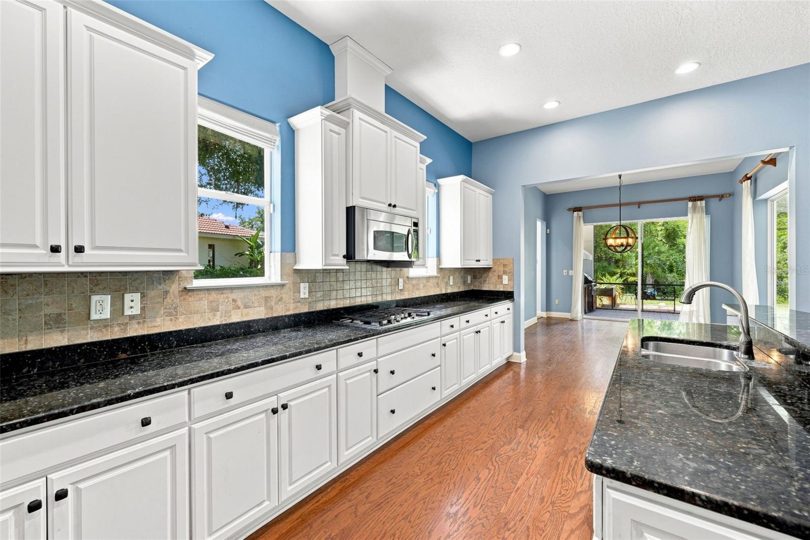 21201 SKY VISTA DRIVE