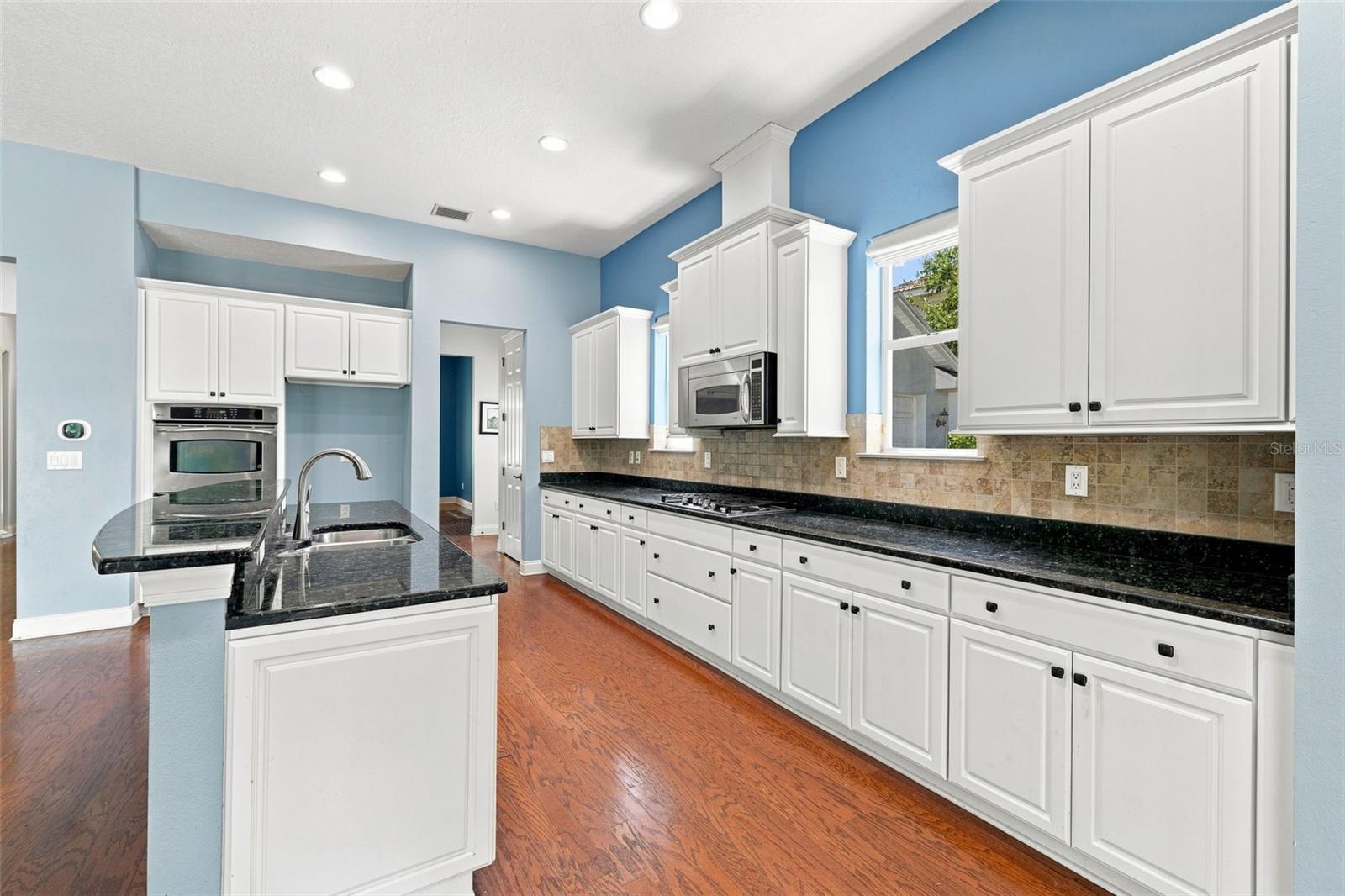21201 SKY VISTA DRIVE