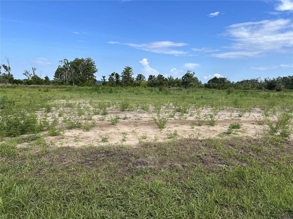 Photo of 12942 Stillwater Cove Drive, Astatula, FL 34705 (MLS # O6313402)