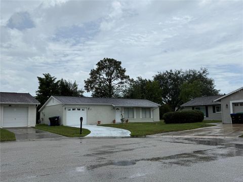 Photo of 10508 Linger Lane, Orlando, FL 32821 (MLS # S5151013)