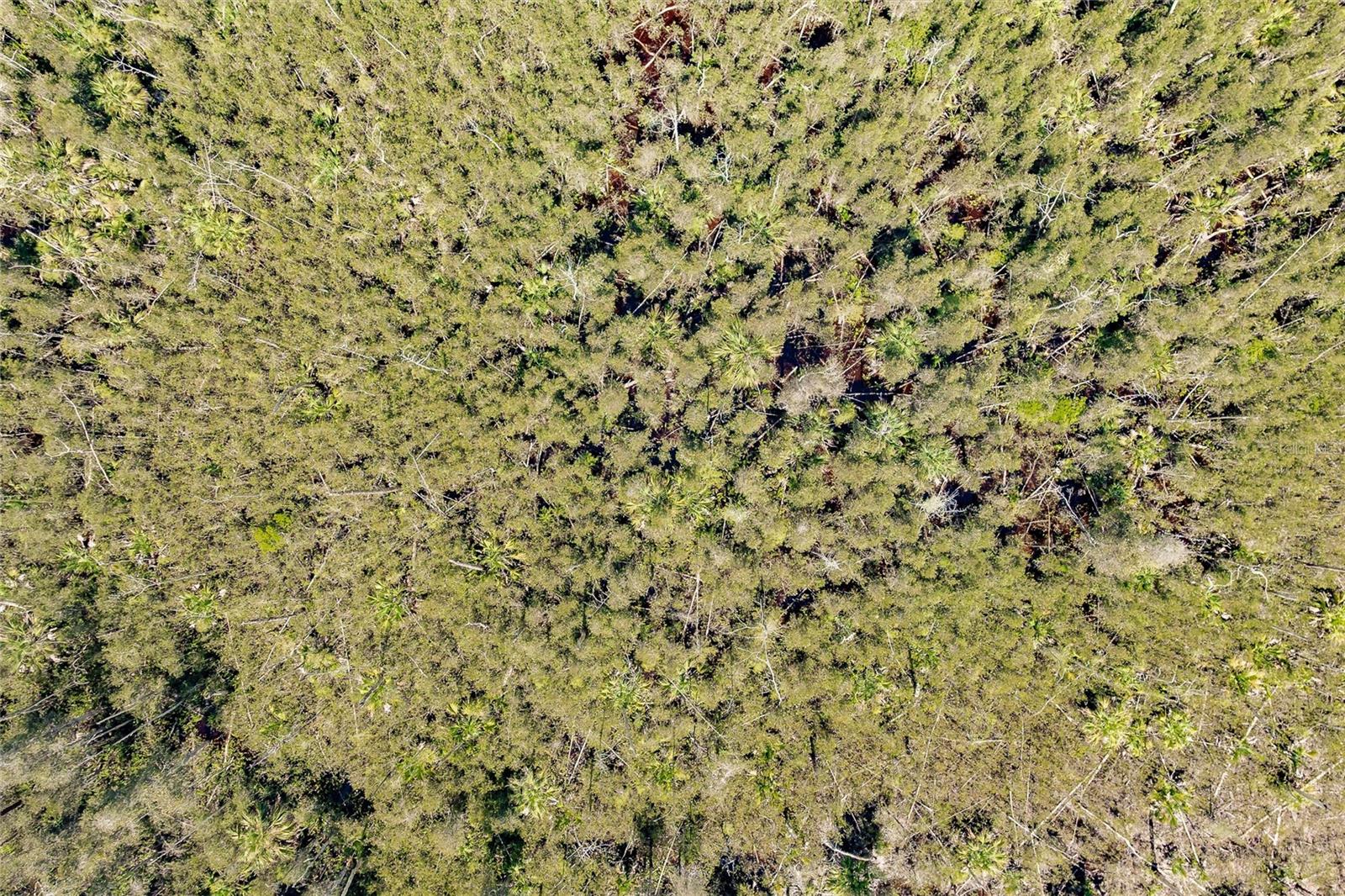 ACREAGE HEADER - Land