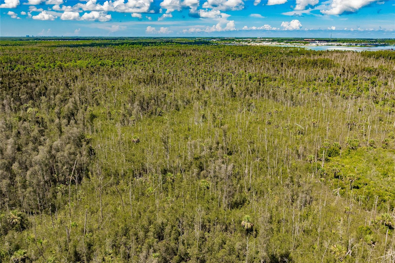 ACREAGE HEADER - Land