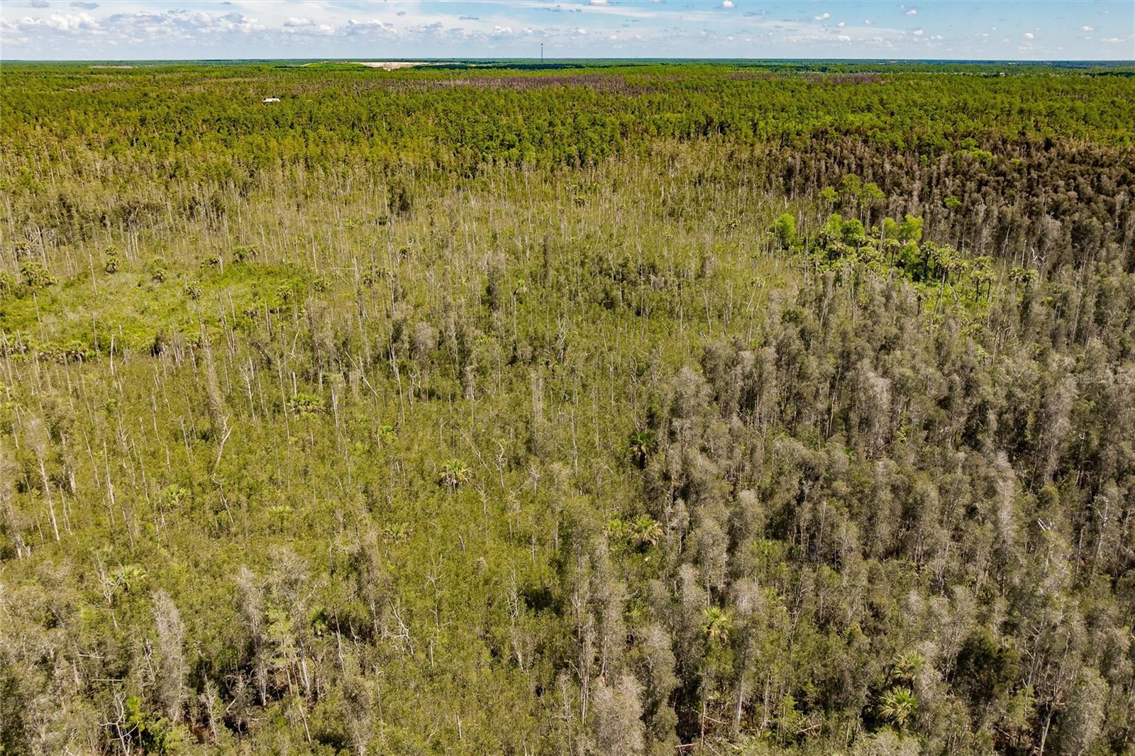 ACREAGE HEADER - Land