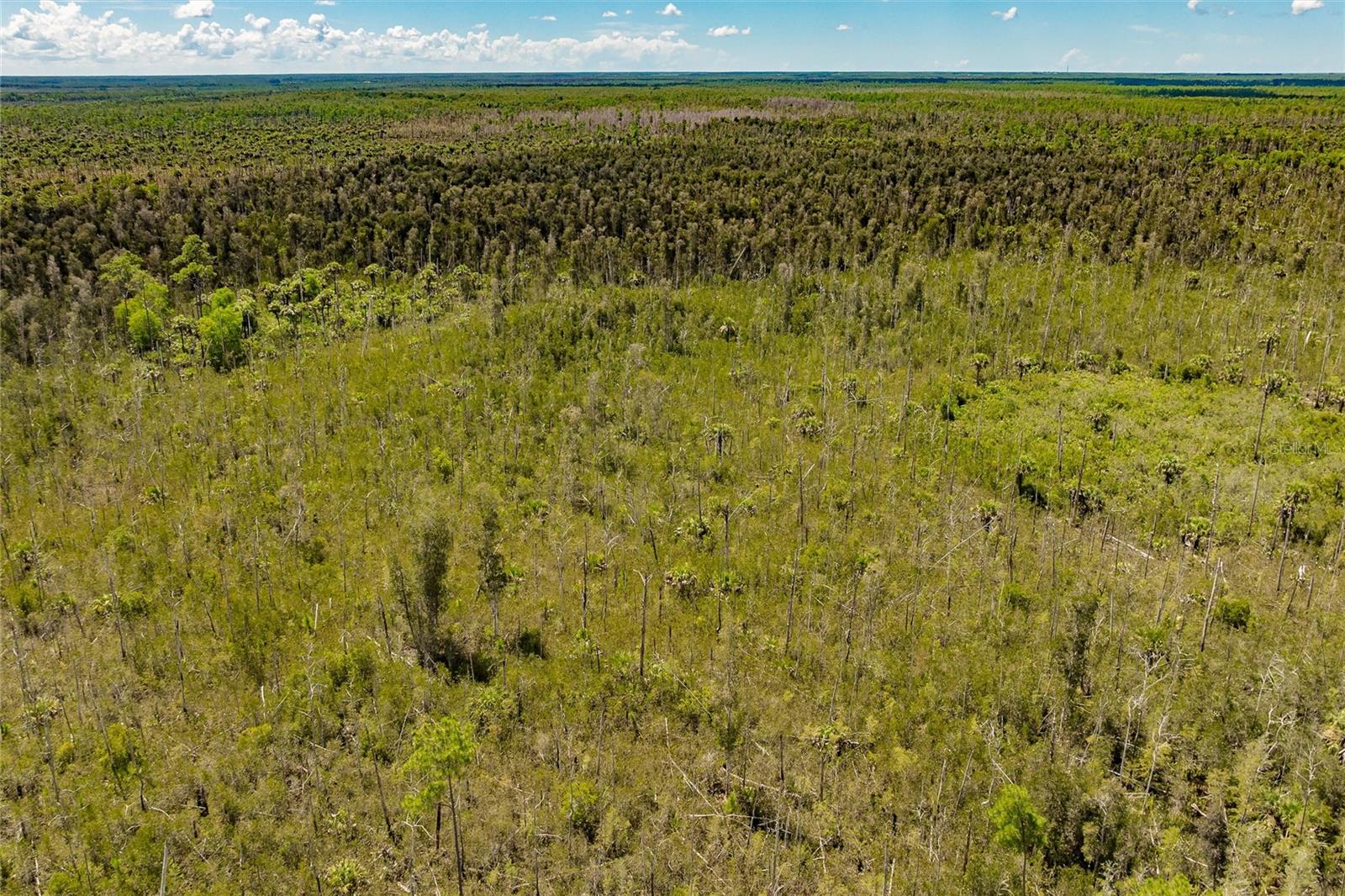 ACREAGE HEADER - Land