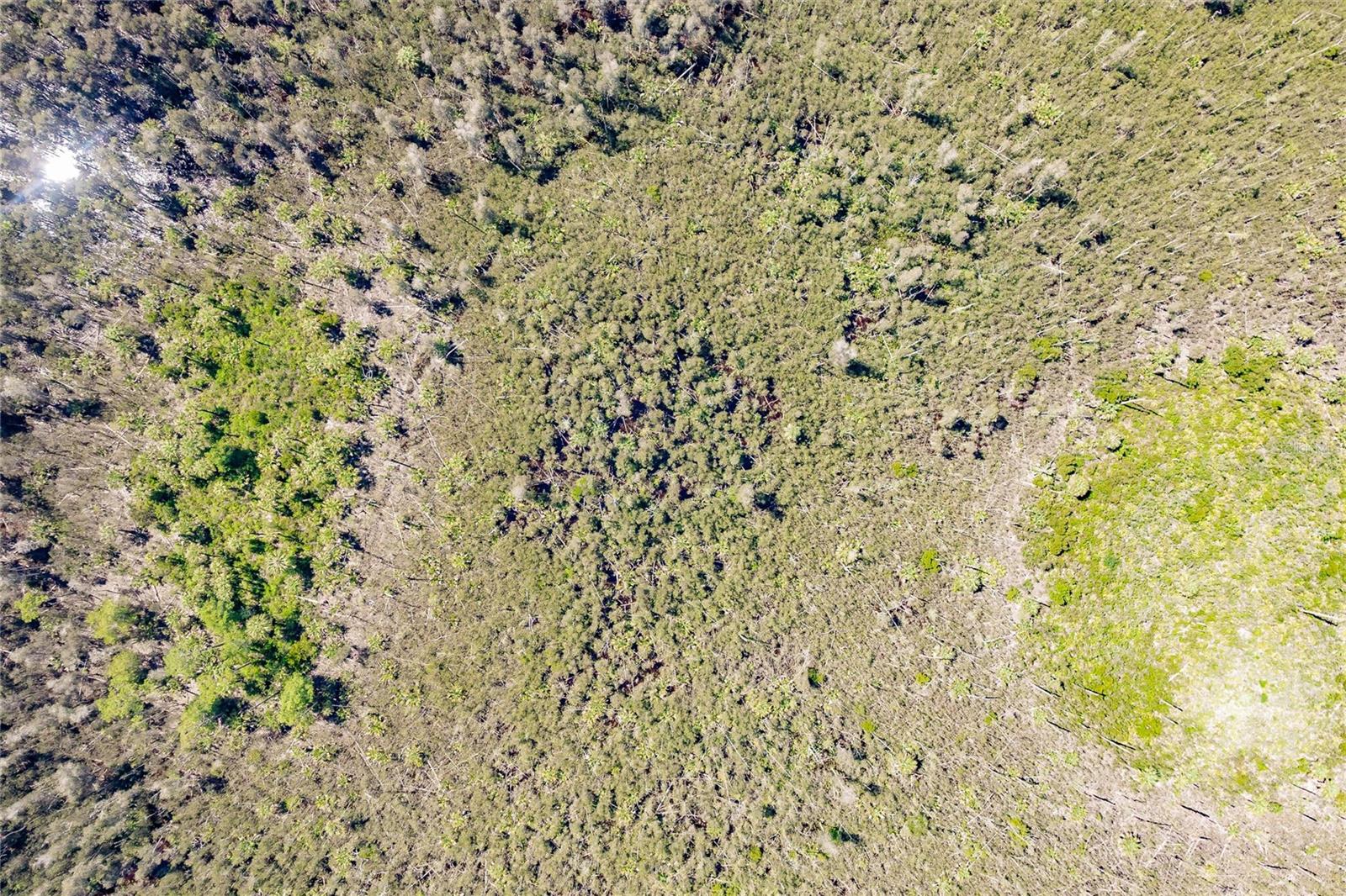 ACREAGE HEADER - Land