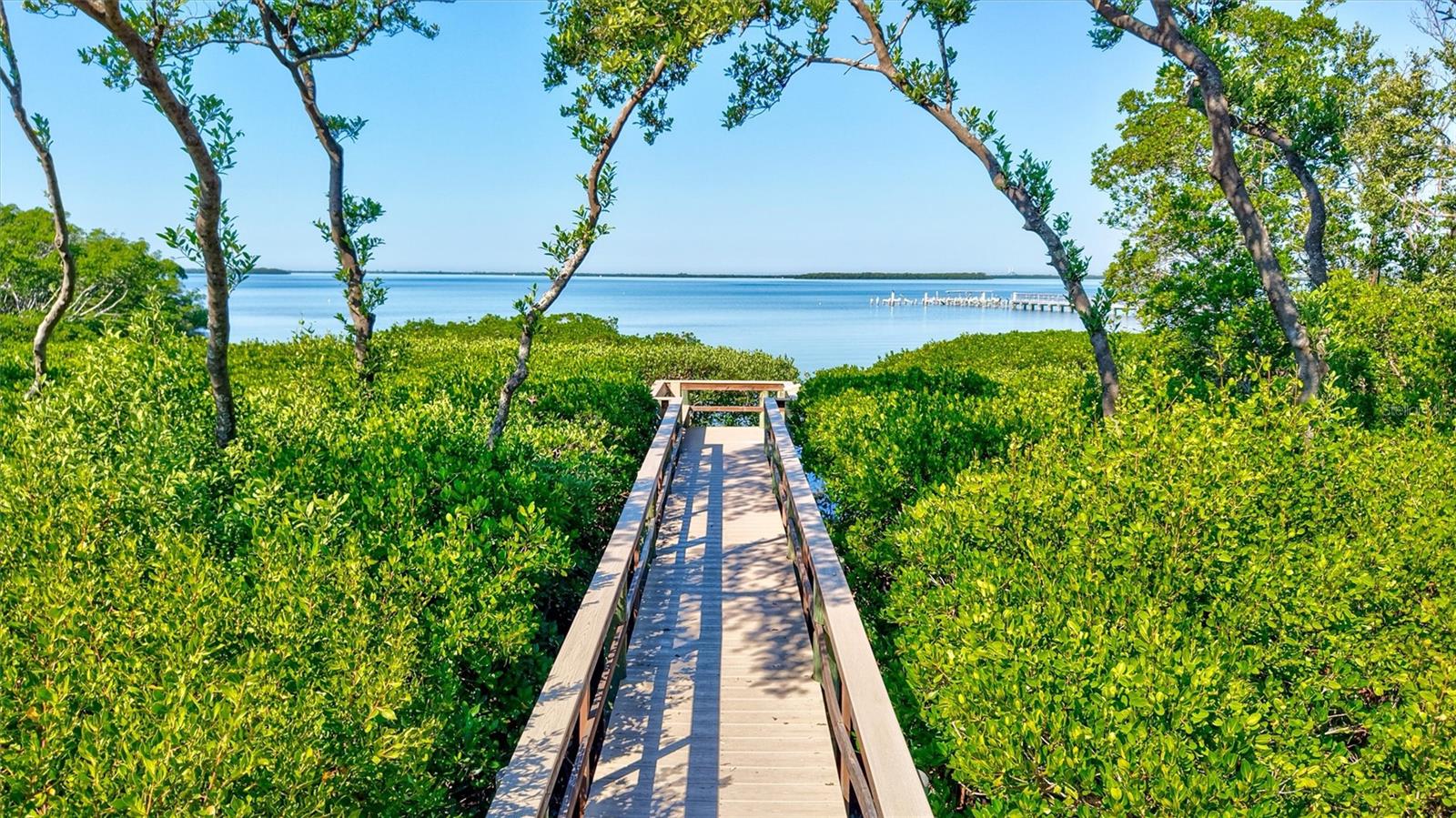 BAY CLUB PH II - Residential