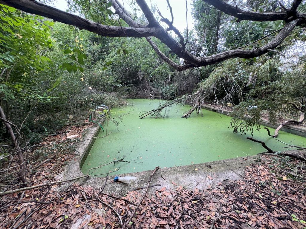 Photo of 12706 N 53rd Street, Temple Terrace, FL 33617 (MLS # TB8465169)