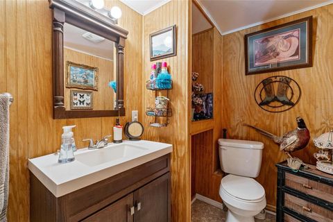 Tiny photo for 42415 Big Oak Road, Altoona, FL 32702 (MLS # V4946133)