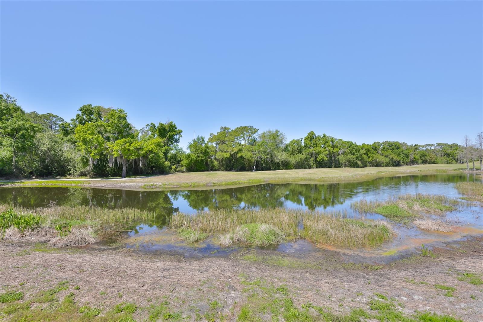 SUN CITY CENTER - RICHMOND VILLAGE - Residential