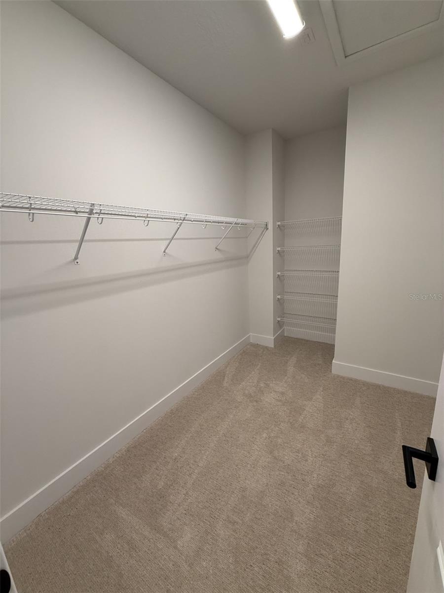 APEX AT SEMINOLE HEIGHTS - Residential Lease