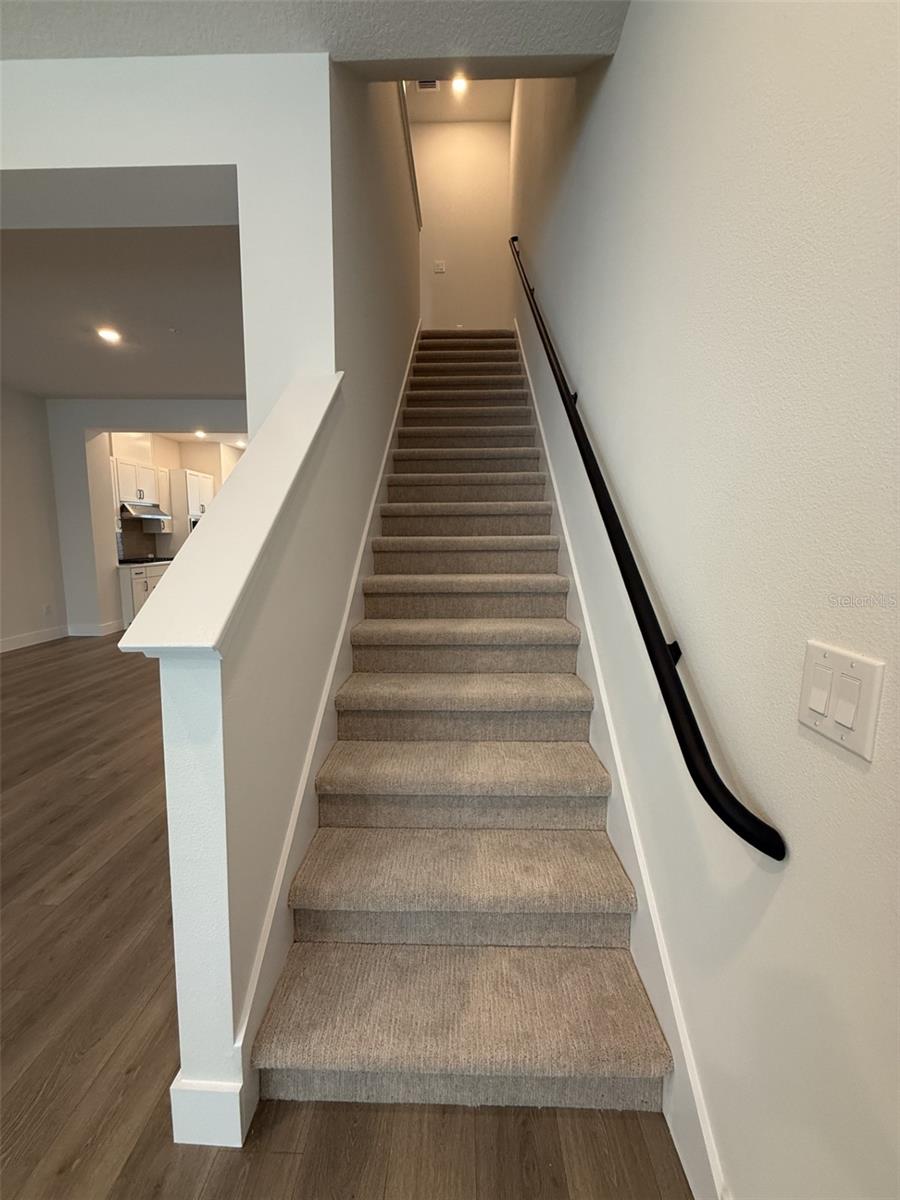 APEX AT SEMINOLE HEIGHTS - Residential Lease