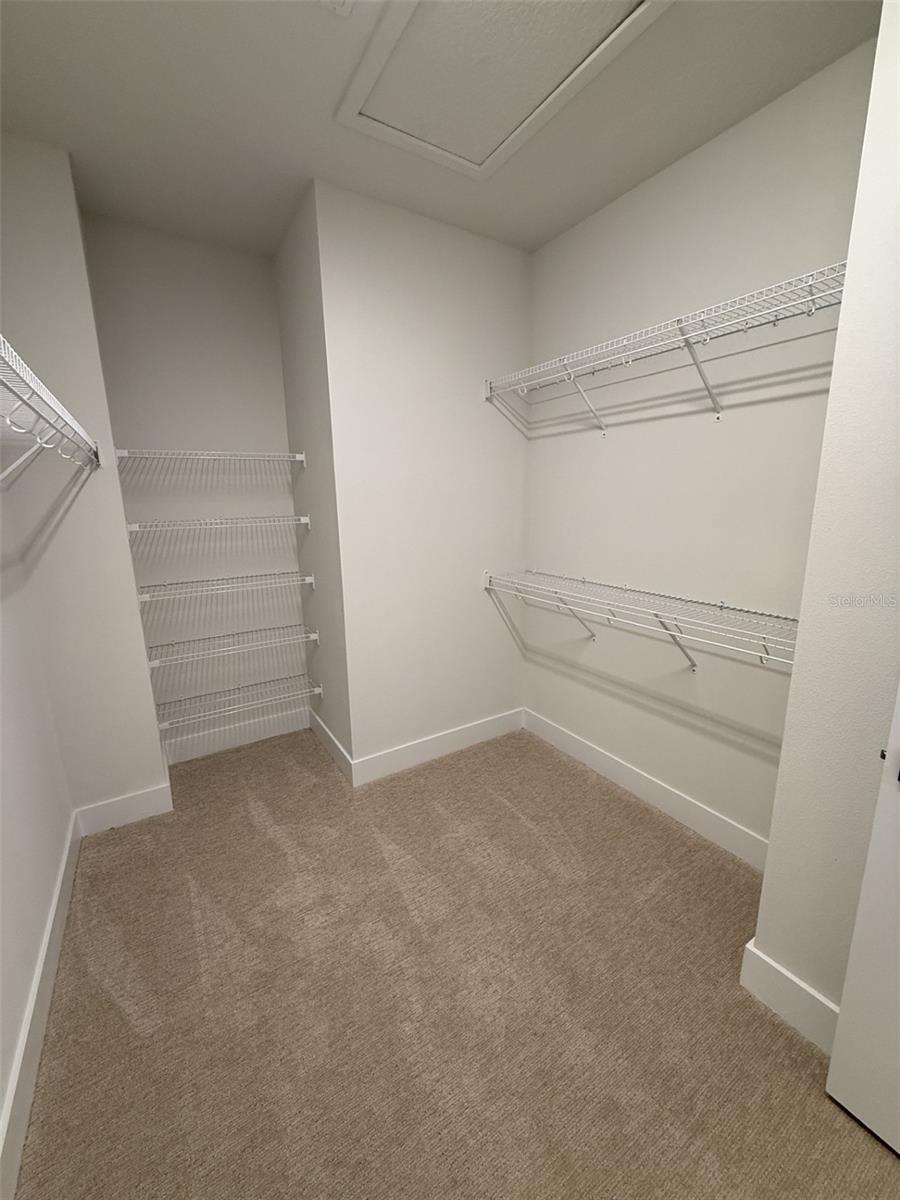 APEX AT SEMINOLE HEIGHTS - Residential Lease