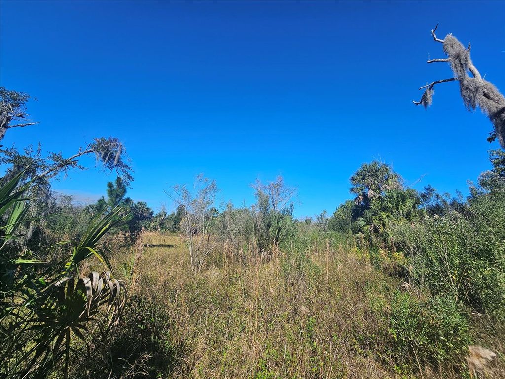 Photo of 786 Fort Florida Road, Debary, FL 32713 (MLS # R4910393)