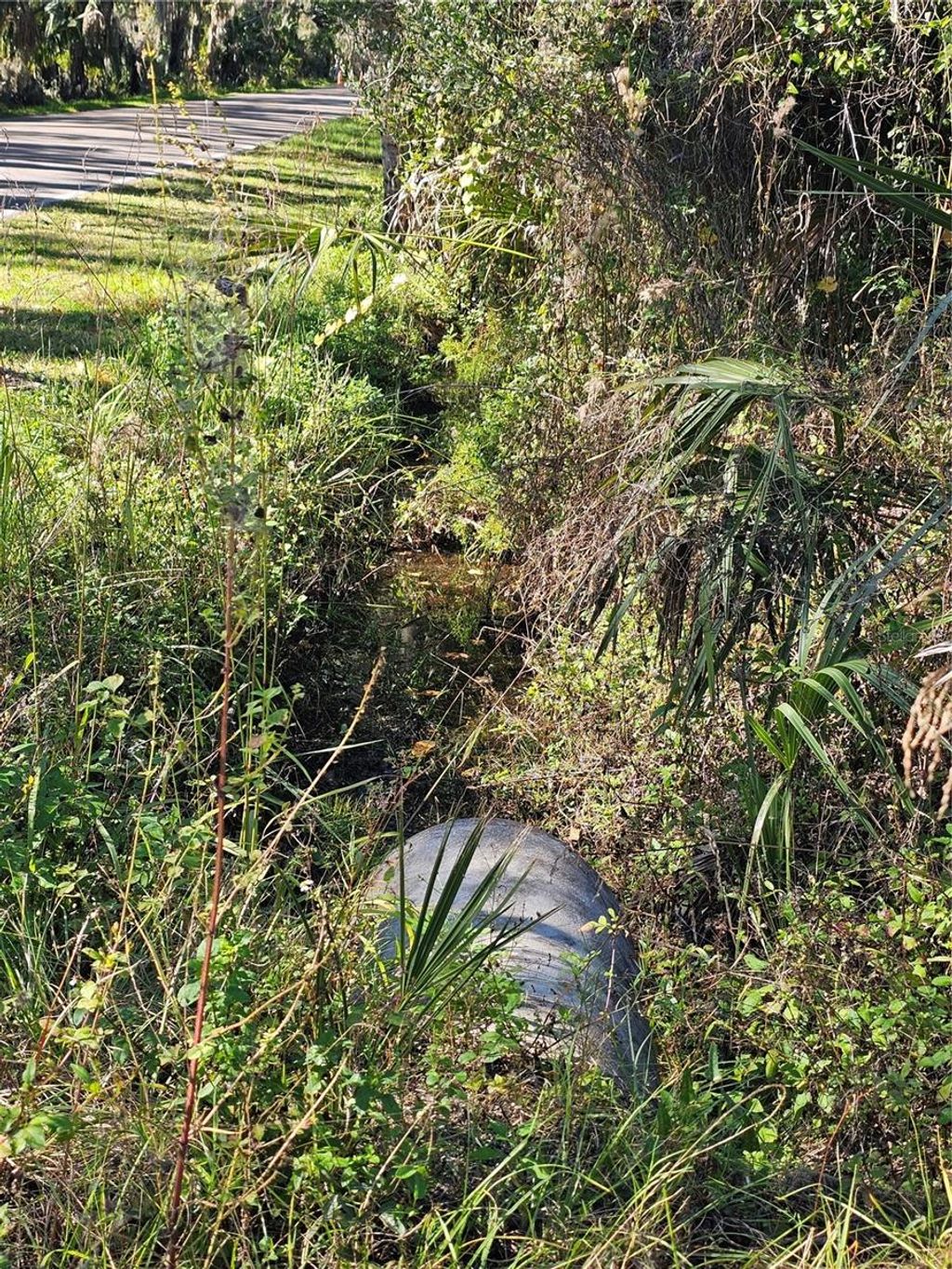 Photo of 786 Fort Florida Road, Debary, FL 32713 (MLS # R4910393)