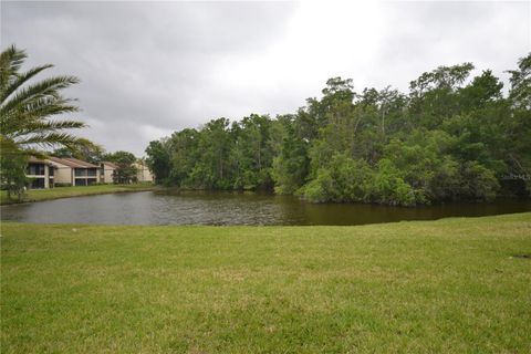 A home in OLDSMAR