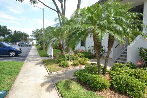 A home in OLDSMAR